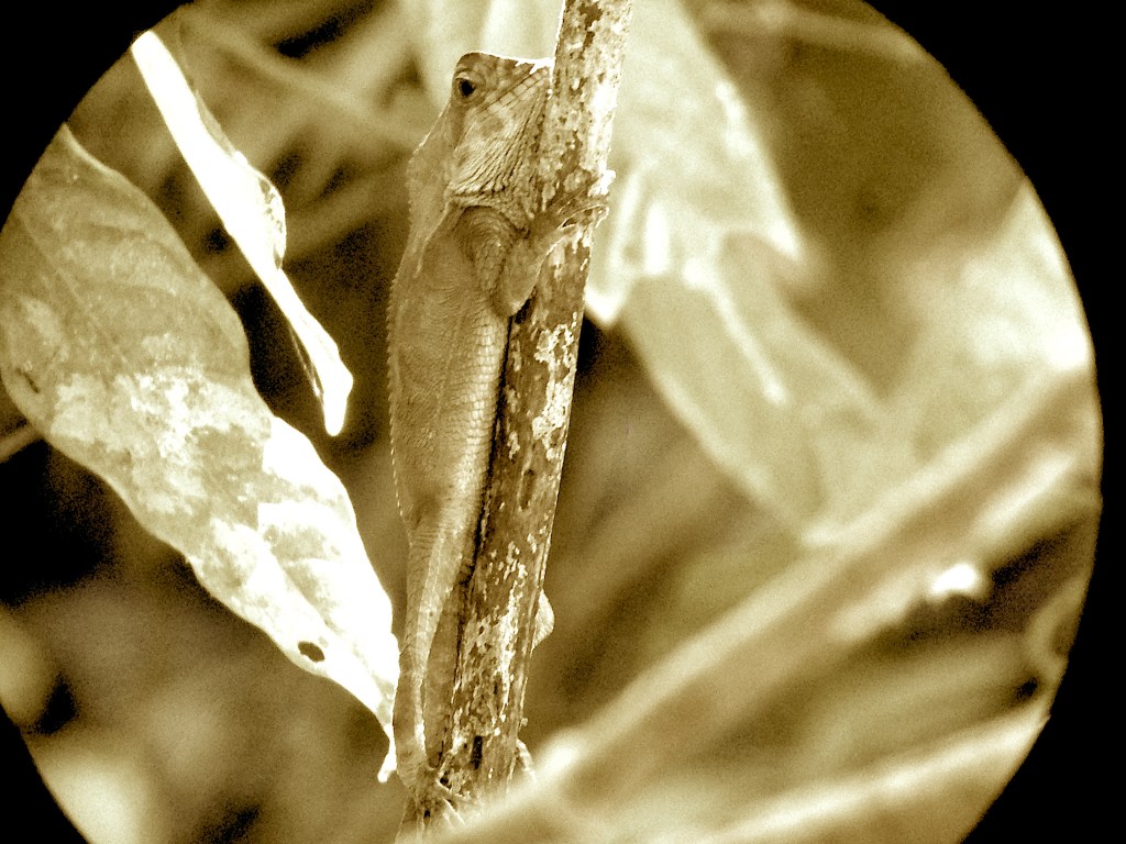 Ser un otro, en otro&nbsp;ser.