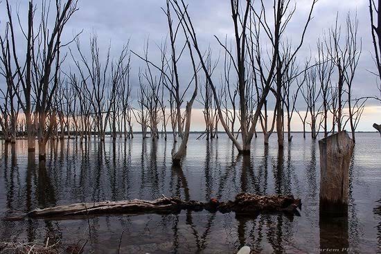 En qué me&nbsp;convertí